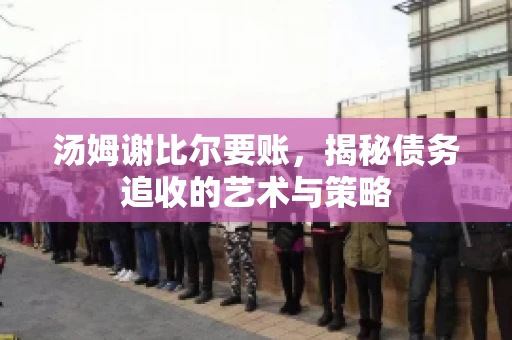 汤姆谢比尔要账，揭秘债务追收的艺术与策略