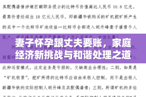 妻子怀孕跟丈夫要账，家庭经济新挑战与和谐处理之道