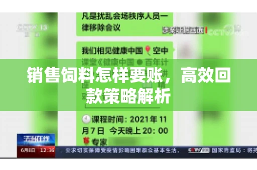 销售饲料怎样要账，高效回款策略解析