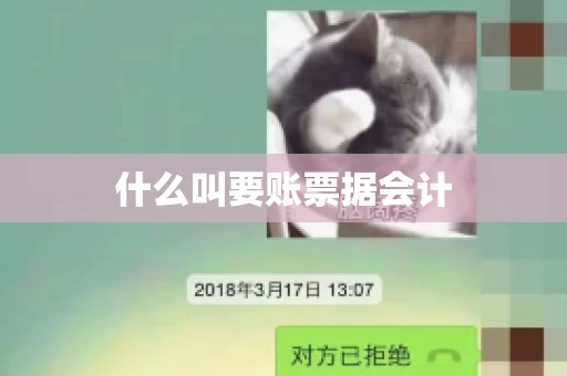 什么叫要账票据会计