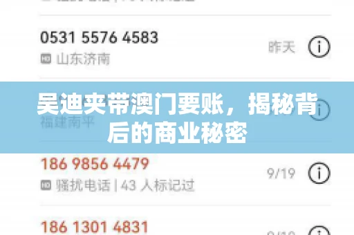 吴迪夹带澳门要账，揭秘背后的商业秘密