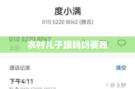 农村儿子跟妈妈要账