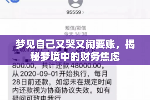 梦见自己又哭又闹要账，揭秘梦境中的财务焦虑