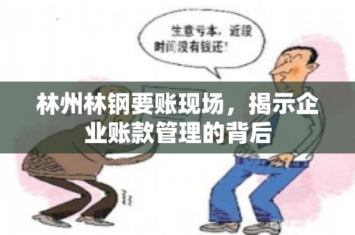 林州林钢要账现场，揭示企业账款管理的背后