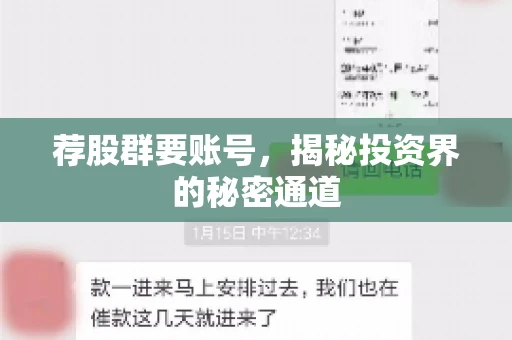 荐股群要账号，揭秘投资界的秘密通道