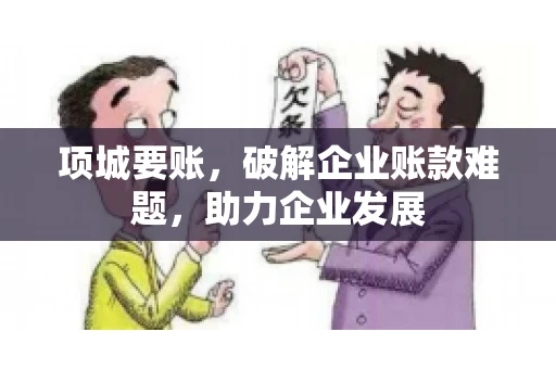 项城要账，破解企业账款难题，助力企业发展