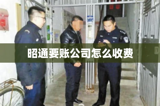 昭通要账公司怎么收费