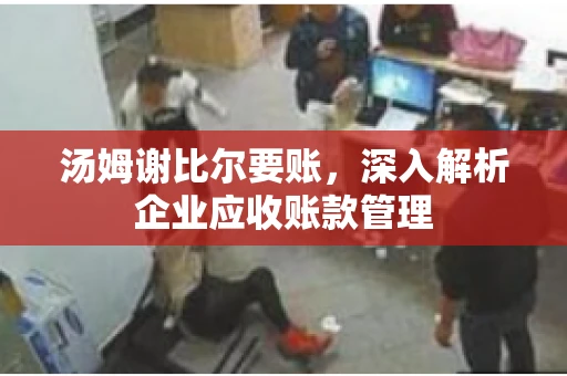 汤姆谢比尔要账，深入解析企业应收账款管理