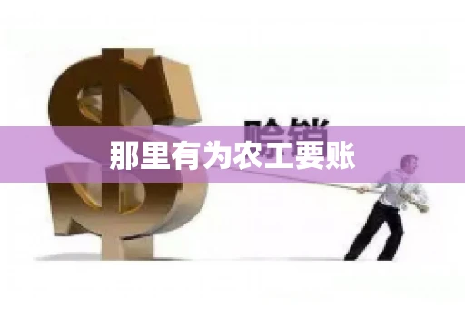 那里有为农工要账