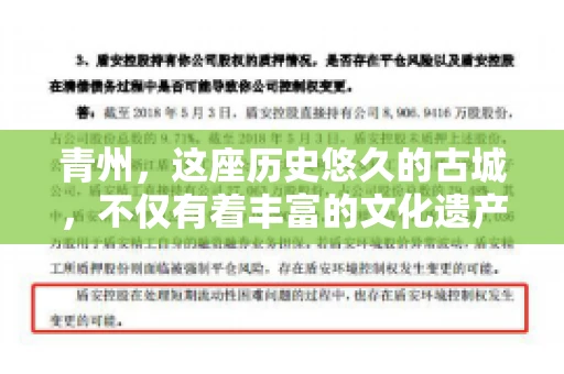 青州，这座历史悠久的古城，不仅有着丰富的文化遗产，也是商业活动频繁的地方。对于许多企业来说，应收账款的管理是日常运营中不可或缺的一环。那么，青州那里有要账的公司呢？今天，我们就来聊聊这个话题。