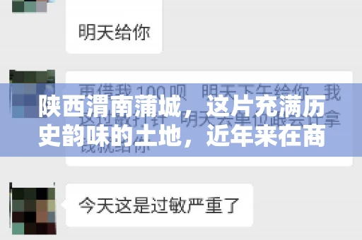 陕西渭南蒲城，这片充满历史韵味的土地，近年来在商业活动中也展现出了其独特的活力。其中，关于“陕西渭南蒲城要账”的话题，成为了不少企业关注的焦点。今天，我们就来聊聊这个话题，看看在蒲城，要账的那些事儿。