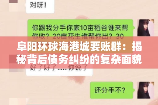 阜阳环球海港城要账群：揭秘背后债务纠纷的复杂面貌