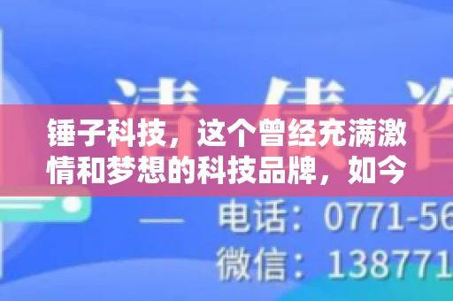 锤子科技，这个曾经充满激情和梦想的科技品牌，如今却陷入了要账的困境。今天，我们就来聊聊锤子科技要账的那些事儿。