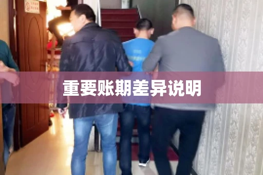 重要账期差异说明
