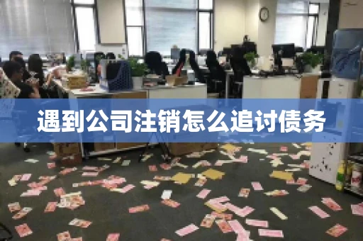 遇到公司注销怎么追讨债务