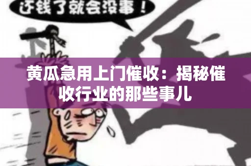 黄瓜急用上门催收：揭秘催收行业的那些事儿