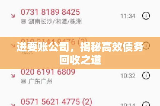 进要账公司,揭秘高效债务回收之道 进要账公司,揭秘高效债务回收之道