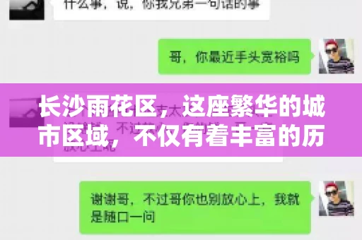 长沙雨花区，这座繁华的城市区域，不仅有着丰富的历史文化，还有着繁忙的金融活动。其中，催收公司作为金融行业的一个重要组成部分，在这里也有着不少的身影。那么，长沙雨花区都有哪些催收公司呢？今天，我们就来聊聊这个话题。