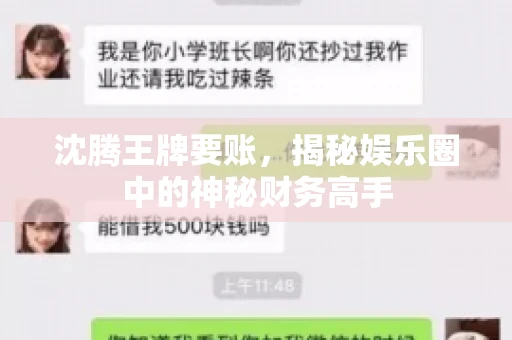 沈腾王牌要账,揭秘娱乐圈中的神秘财务高手 沈腾王牌要账,揭秘娱乐圈中的神秘财务高手