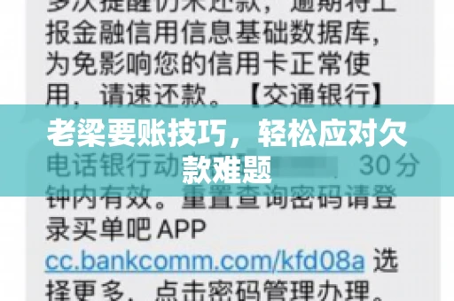 老梁要账技巧，轻松应对欠款难题