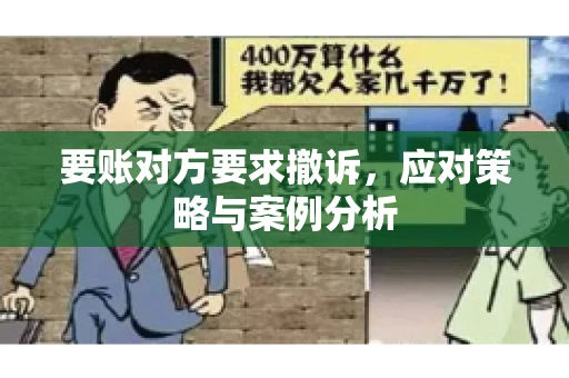 要账对方要求撤诉，应对策略与案例分析